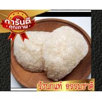 ราคา รังนกจากธรรมชาติ พร้อมตุ่น บำรุงร่างกาย รังนกแท้100 เกรดพรีเมี่ยม birdnest100 (9771437478)