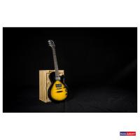 ราคา Passion Base Series BLP 01 HH RW Sunburst (19059815114)