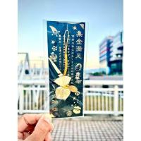 ราคา โอมาโมริถุงสมบัติ ถุงสะสมทรัพย์สิน Omamori of millionaire เครื่องรางแห่งความร่ำรวย เงินทอง ทรัพย์สิน ศาลเจ้าสุมิโยชิ Sumiyoshi shrine (21083643660)