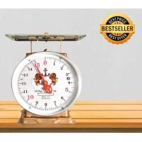 ราคา ตาชั่งผลไม้ เครื่องชั่งสปริง จานแบน ขนาด 15 กิโลกรัม (813226985)