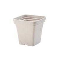 ราคา Tree O กระถางต้นไม้ รุ่น PY 2057WT ขนาด 20 x 20 x 19 ซม 8นิ้ว สีขาว (17714266945)