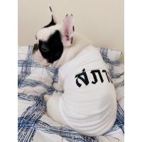 ราคา พร้อมส่ง เสื้อหมา เสื้อแมว เสื้อกล้ามหมาแมวสีขาวสกรีนลายสภาพ เสื้อกล้ามสุนัขแมวผ้าไม่ติดขน เสื้อผ้าสัตว์เลี้ยง (20414958815)