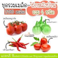 ราคา เมล็ดพันธุ์ชุดผักหลังบ้าน200เมล็ด มะเขือเทศสีดา มะเขือเทศลูกท้อ มะเขือเจ้าพระยา พริกจินดา อัตราการงอก95 ปลูกง่าย โตไว (2537388922)