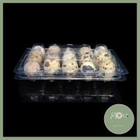 ราคา แพคละ 100 ใบ กล่องไข่นกกระทา15ฟองล็อค กล่องใส่ไข่นกกระทา กล่องพลาสติกใส่ไข่นกกระทา15ฟอง มาแรง ร้าน PP702 (4298476193)