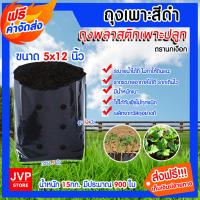 ราคา ส่งฟรี ถุงเพาะชำ ขนาด 5x12 นิ้ว 15กิโลกรัม ถุงเพาะกล้า ตรานกเงือก ถุงดำเพาะเมล็ด ถุงเพาะเมล็ด ถุงชำต้นไม้ ถุงใส่ต้นไม้ ต้นไม้ เมล็ด (3680122501)