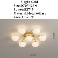 ราคา ไฟไฟทางเดินเพดาน LED ทันสมัยโคมระย้าขนาดเล็กสำหรับห้องนั่งเล่นโคมไฟติดเพดานทางเดินของห้องกินข้าวไฟส่องสว่างในร่ม (17657554229)