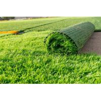 ราคา หญ้าเทียมปูพื้น ปูโต๊ะ ตกแต่งสวน สนาหญ้าเทียม (16439442540)