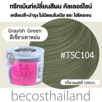 ราคา Top Secret Color Shine Hair Color Treatment 100ml ทรีทเม้นท์เปลี่ยนสีผม เคลือบสีสวย ผมไม่เสีย ไม่มีแอมโมเนีย (18331733795)