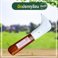 ราคา มีดปอกทุเรียน มีดตัดก้านทุเรียน ขนาด 9 นิ้ว มีดแกะทุเรียน มีดกรดทุเรียนปลายโค้ง คมพิเศษ เหล็กอรัญญิกแท้100 (19953889541)