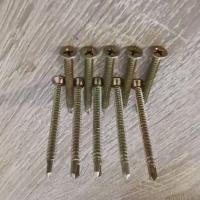 ราคา สกรูยืดกระเบี้องหลังคาคอนกรีต ซีแพค 8 x 2 1KG AKFLX 10 ตัว (17749329392)