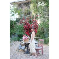 ราคา เดรสผ้าฝ้ายสายเดี่ยวโชว์หลังแนวมินิมอล (19999385686)