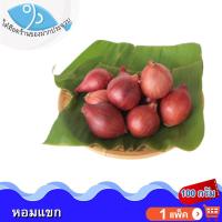 ราคา ไต๋ฮ๊อด หอมแขก 100กรัม 1แพ็ค หอมแดง หอม หอมแดงแขก หอมแดงราคาถูก หัวหอมแขก หัวหอม หัวหอมสด สมุนไพร เครื่องเทศ เครื่องปรุงรส ของแห้ง (9908683523)