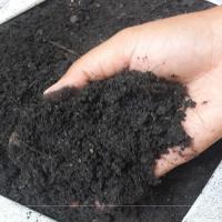 ราคา x2 Bags Potting Soil PH 6 7 ปริมาณสุทธิ 5 กิโลกรัมต่อถุง ดินปลูกผัก ต้นไม้และไม้ดอกไม้ประดับ ดินปลูกต้นไม้ ดินผสมสำเร็จพร้อมปลูก ดินเกษตรมีชีวิต ดินพารวยสต็อกในประเทศไทย จัดส่งที่รวดเร็ว (213668791)