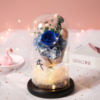 ราคา Seangel Rose Night Light วันวาเลนไทน์ของขวัญสร้างสรรค์ Eternal Rose Light เอกวาดอร์ Rose Immortal ดอกไม้ Forever Love งานแต่งงาน Decor Lover กุหลาบของขวัญคริสต์มาสของขวัญ成人拼图 (16941846536)