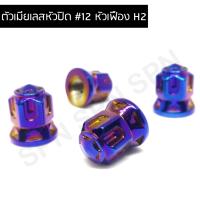 ราคา น๊อตตัวเมีย เบอร์ 12 หัวปิด น็อตตัวเมียหัวปิด เบอร์ 12 หัวเฟือง H2 (6380356744)