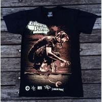 ราคา S 5XL เสื้อยืดผ้าฝ้าย พิมพ์ลาย NTS LINKIN PARK AMERICAN RAP ROCK BAND STREET ART METEORA COVER EDITION 13R188 สําหรับผ (20627851473)