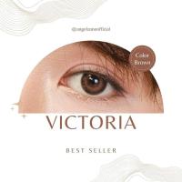 ราคา Angel Zone คอนแทคเลนส์ รุ่น 14 2 Victoria (10933564673)