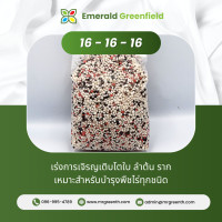 ราคา ปุ๋ยสูตร 15 15 15 สูตร 16 16 16 สูตร 8 24 24 สูตร 29 9 9 แบ่งขาย (19589562691)