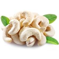 ราคา ล็อตใหม่ 0 5 Kg กก เม็ดมะม่วงหิมพานต์ ดิบ อบ จัมโบ้ A Raw Cashew Nuts Jumbo A Natural 100 (14050180478)