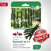 ราคา เมล็ดพันธุ์ บวบ เหลี่ยมวิกเกอร์เอ 25เมล็ด ตราศรแดง เมล็ด ต้นไม้ เมล็ดผัก ดอกไม้ ผัก ผักสวนครัว สลัด เมล็ดพันธุ์พืช (10038672970)