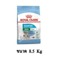 ราคา Royal Canin MINI STARTER อาหารสุนัขขนาดจิ๋ว เล็ก แม่และลูกสุนัข ขนาดเล็ก แบบเม็ด ขนาด 8 5 KG (7763837996)