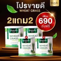 ราคา ส่งฟรีแท้ 2 แถม 2 4 กระปุก วีทกราส คลอโรฟิลล์ของแท้ จาก แบรนยูมิโกะ Wheatgrass chlorophyll by yumiko (20044421313)