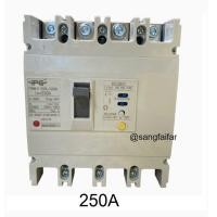 ราคา IPG เบรกเกอร์ กันไฟดูด RCBO เมนเบรกเกอร์ 3P N 4P 250A 125A 100A รุ่น IPGMLE 125L IPGMLE 250L (20907593919)