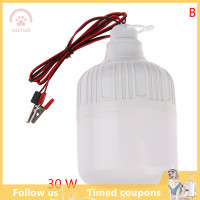 ราคา SHZTGM หลอดไฟ LED Ampoule LED bombillas 12V โคมไฟ20W 30W หลอดไฟแบบพกพา (20880883661)