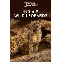 ราคา หนัง DVD ออก ใหม่ India s Wild Leopards เสือดาวป่าแห่งอินเดีย 2020 เสียง อังกฤษ ซับ ไทย DVD ดีวีดี หนังใหม่ (20538262221)
