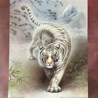 ราคา รูปโปสเตอร์ภาพมงคลมังกร เสือขนาด16X20นิ้ว ถ่ายจากรูปภาพจริง (17041766716)