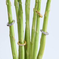 ราคา Bemet Basic ear cuff ต่างหูแบบสวม ราคาต่อ 1 ชิ้น (20919847228)