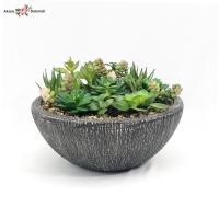 ราคา สวนกระบองเพชรปลอม สวนแคคตัสปลอม ต้นไม้สวนถาดประดิษฐ์ (2342336495)