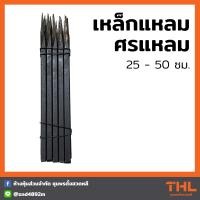 ราคา เหล็กแหลม ศรแหลม 25 50 ซม เหล็กทำรั้ว แหลมตรง เหล็กแหลมรั้ว อัน (16475586057)