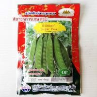 ราคา เมล็ดถั่วลันเตาหวานSWEET PEAเมล็ดถั่วลันเตาเมล็ดผักสวนครัวเมล็ดพันธุ์ผักถั่วลันเตา Sugar pea ติดกด100กรัม (20909254136)