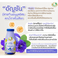 ราคา Milk Plus More น้ำหัวปลี น้ำหัวปลีสกัดเข้มข้นผสมอินทผลัม มิลค์พลัส แอนด์ มอร์ เพิ่มน้ำนมหลังคลอด บำรุงครรภ์ ไม่ใส่น้ำตาล (20926825706)