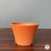 ราคา กระถางตอไม้ ปากบานเตี้ย กระถางพลาสติก แคคตัส กระบองเพชร ไม้อวบน้ำ Cactus Succulent (20854869631)