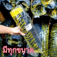 ราคา ท่อยางอากาศ 2 3นิ้วไส้หมู ท่อไส้หมู ท่ออากาศ ท่อยาง ท่อยางฝังลวด ท่อฝังลวด (11096636292)