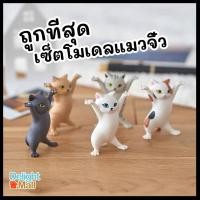 ราคา โมเดลแมว 5 ตัว โมเดลแมวจิ๋ว น้องแมวกาชาปอง แมวชูมือ โมเดลแมวอ้วน โมเดลแมวน่ารัก ของแต่งโต๊ะคอม ตุ๊กตาแต่งสวน ตุ๊กตาแต่งรถ Cat Model (8790075336)