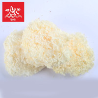 ราคา เห็ดหูหนูขาว 白木耳500กรัมเชื้อราสีขาว (19484642329)