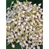 ราคา ดอกพุดดินปั้น ดอกพุดร้อยตาข่าย ขนาดหัว 5 มิล ความยาว 2cm สินค้าพร้อมจัดส่ง (20356879327)