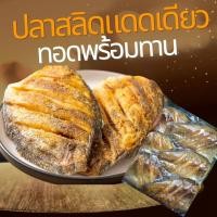 ราคา ตัวใหญ่จัมโบ้ ปลาสลิดแดดเดียวทอดพร้อมทาน แพ็ค 6 ตัว นน ก่อนทอด 1000 g รสชาติเค็มน้อย อร่อยทุกคำ เนื้อฟู กลิ่นหอม ไม่ตุ ไม่คาว (17563522600)