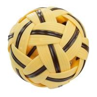 ราคา FBT ตะกร้อ สำหรับฝึกซ้อม รุ่น TKB 3800 กีฬาตะกร้อ รหัส 70313 (1388230743)