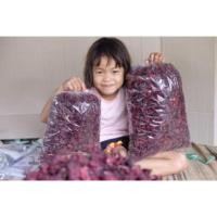 ราคา กระเจี๊ยบแดงแห้ง Roselle 2 kg ปลอดสารเคมี ผลผลิตเดือนพฤศจิกายนปี66 (8258760438)