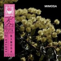 ราคา KARMAKAMET Gift Set 3 Original Moisturizing Hand Cream ชุดของขวัญคามาคาเมต เซต 3 ครีมบำรุงผิวมือ บำรุงมือ ครีมทาผิว ของขวัญ จับฉลาก ของขวัญให้ลูกค้า (20744278689)