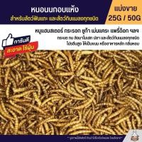 ราคา หนอนนกอบแห้ง เกรดA อาหารหนูแฮมสเตอร์ ชูก้าไรเดอร์ แพรี่ดอก เม่นเคระ และสัตว์เลี้ยงอื่นๆ แบ่งขาย 25G 50G (20962698367)