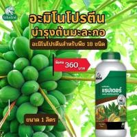 ราคา มะละกอ โตไว ใบเขียว ผลดก ผลใหญ่ แข็งแรง ผลผลิตดี อะมิโนโปรตีนจำเป็นสำหรับพืช 18 ชนิด อะมิโนแรปเตอร์ โดย ไดโนเร็กซ์ (18510698127)