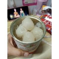 ราคา เงาะในน้ำเชื่อม คัดพิเศษ ตราพี่เจี้ยน 565กรัม 1กระป๋อง (20975213768)