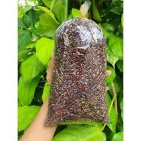 ราคา ข้าวเหนียวดำ พัทลุง ข้าวใหม่ ดำ นุ่ม หอม 1 กิโลกรัม (9491994413)