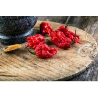ราคา 20 เมล็ด เมล็ดพริก สายพันธุ์ CAROLINA REAPER พริกเผ็ดที่สุดในโลก ของแท้ 100 อัตรางอกสูง 70 80 Strawberry seeds มีคู่มือปลูก (9078506906)