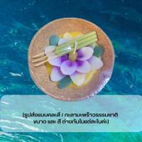 ราคา 27พฤศจิกา วันลอยกระทง กระทงเทียนดอกไม้ กะลาธรรมชาติ ปลอดภัยต่อสิ่งแวดล้อม กระทงกะลา ลอยกระทง (16568556787)